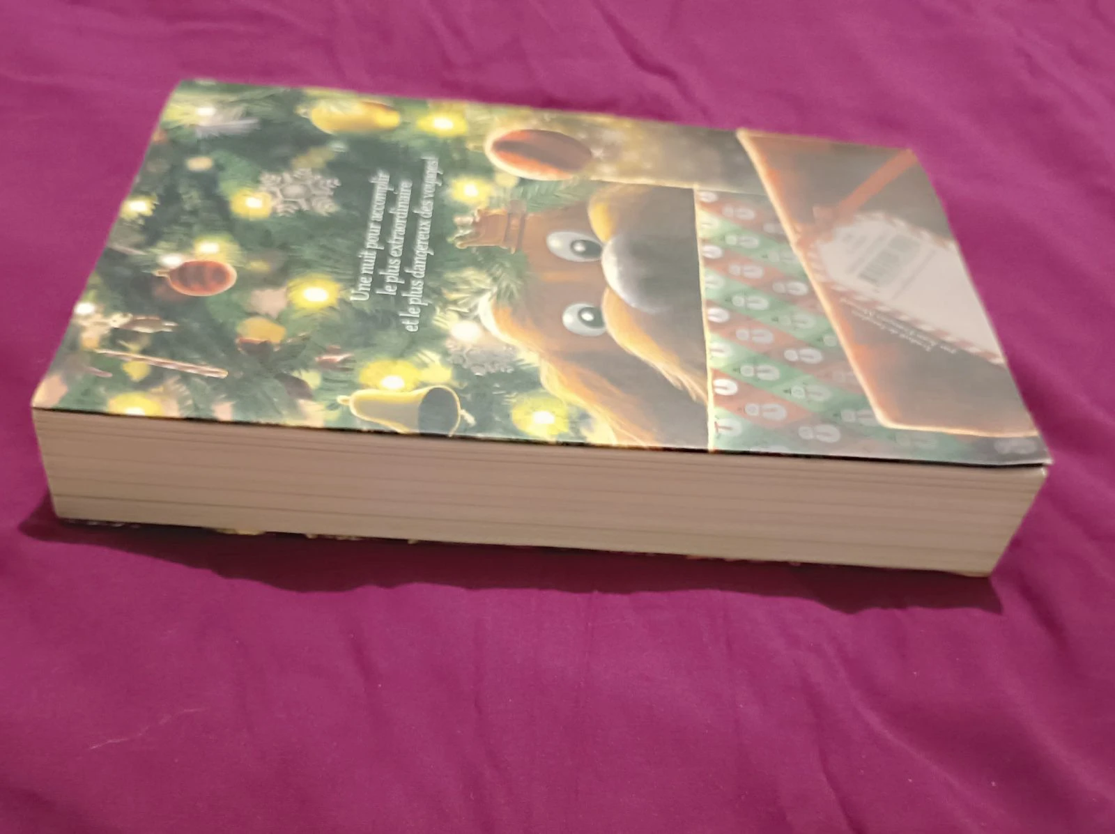 Book Jack and the Great Adventure of the Christmas Pig – photo 3